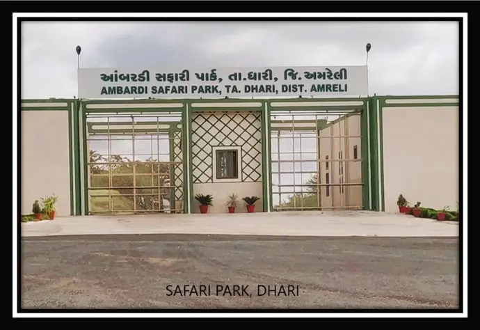 safari park dhari